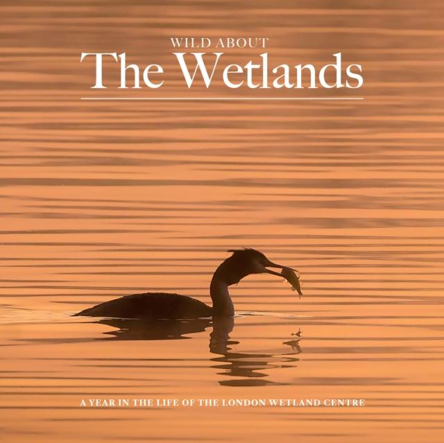 Vorderes Coverbild Wild about The Wetlands