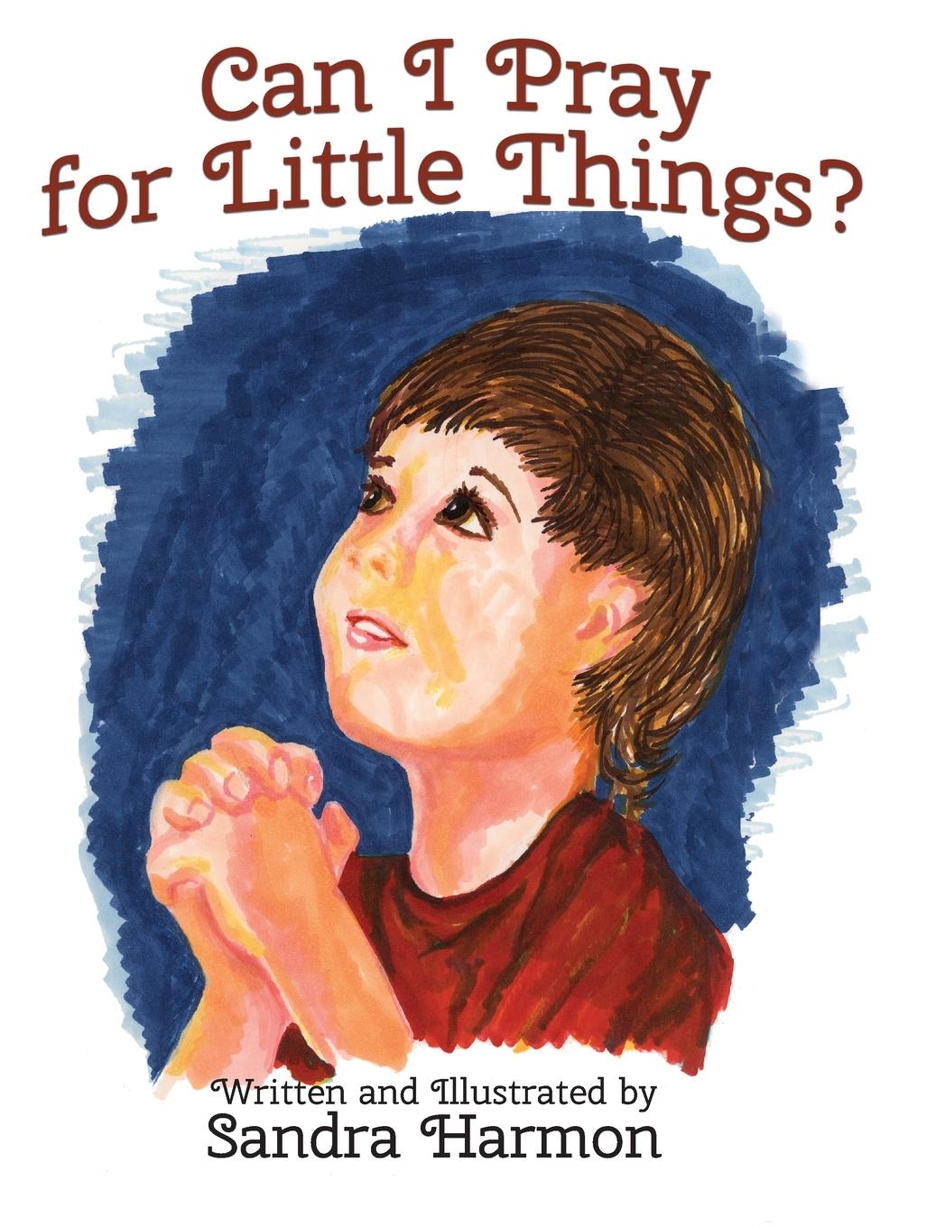 Vorderes Coverbild Can I Pray for Little Things?