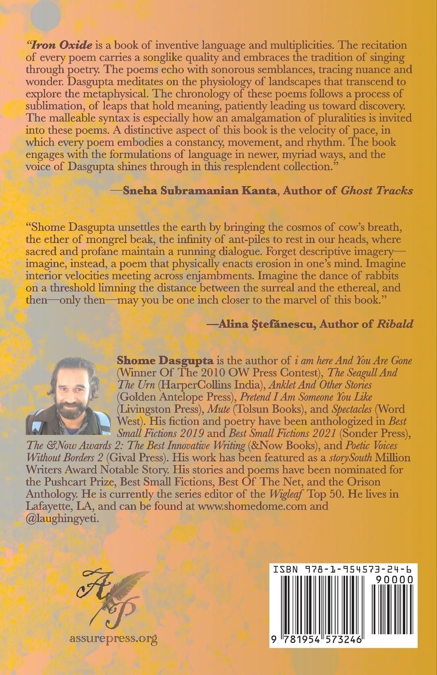 Rückseitencover Iron Oxide