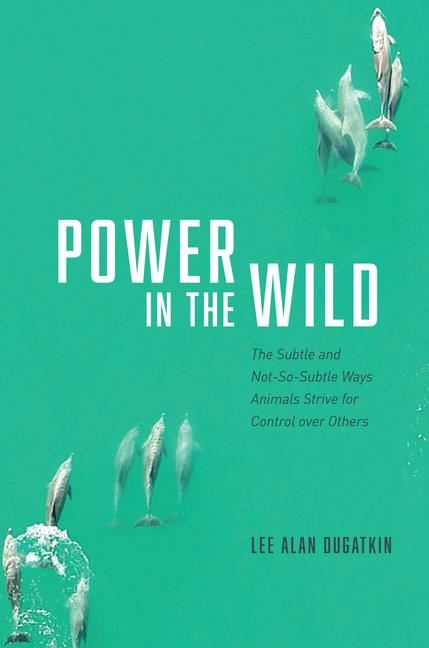 Vorderes Coverbild Power in the Wild
