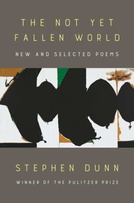 Vorderes Coverbild The Not Yet Fallen World