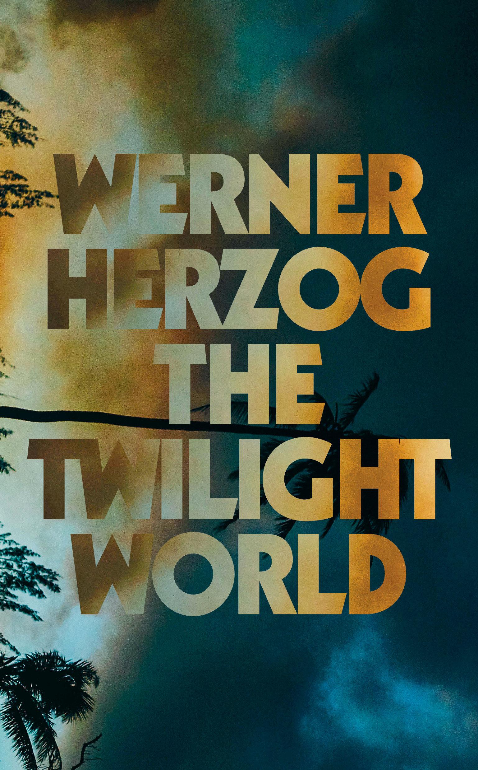 Vorderes Coverbild The Twilight World