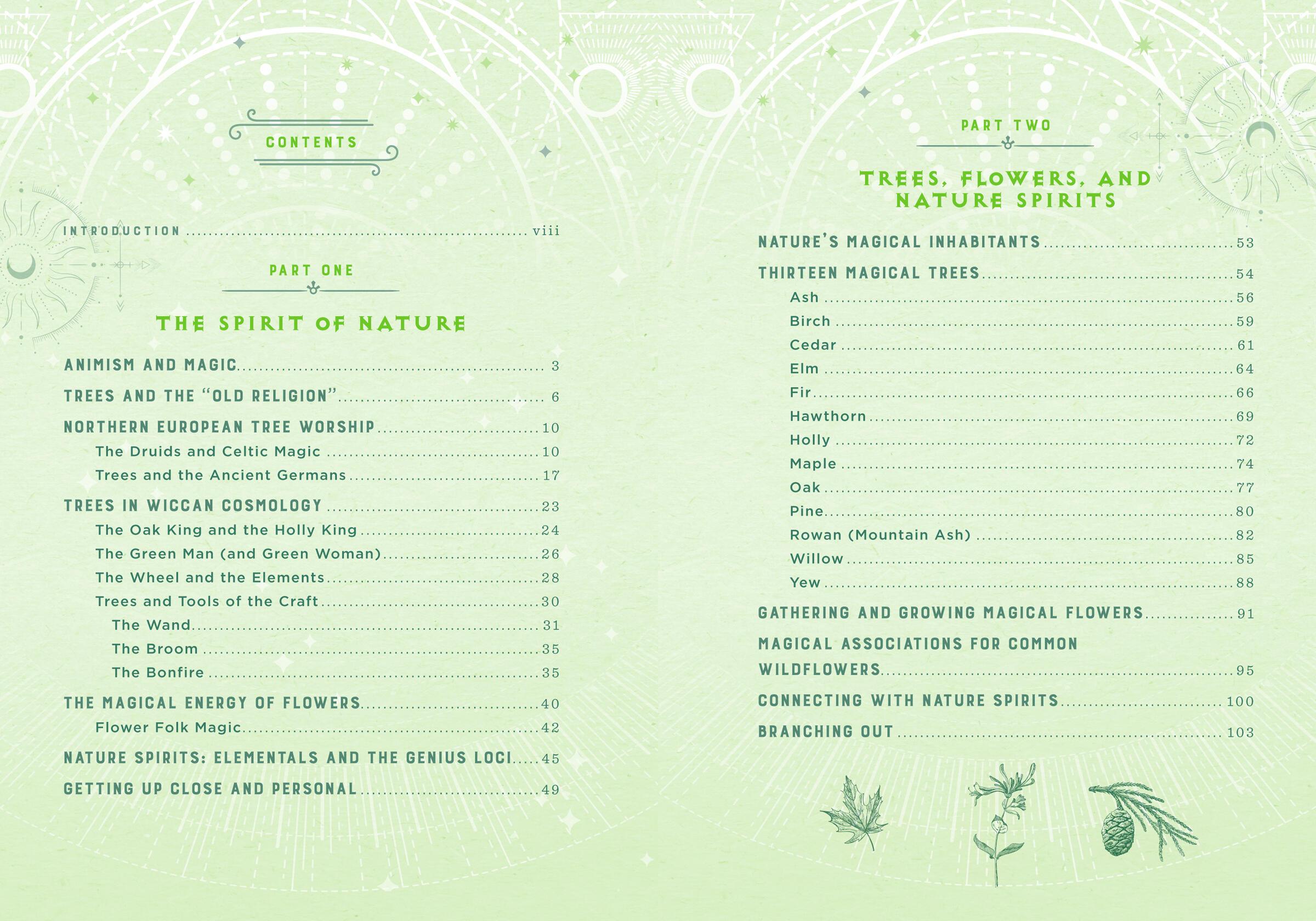 Beispielinhalt (Bild) Wicca Nature Magic