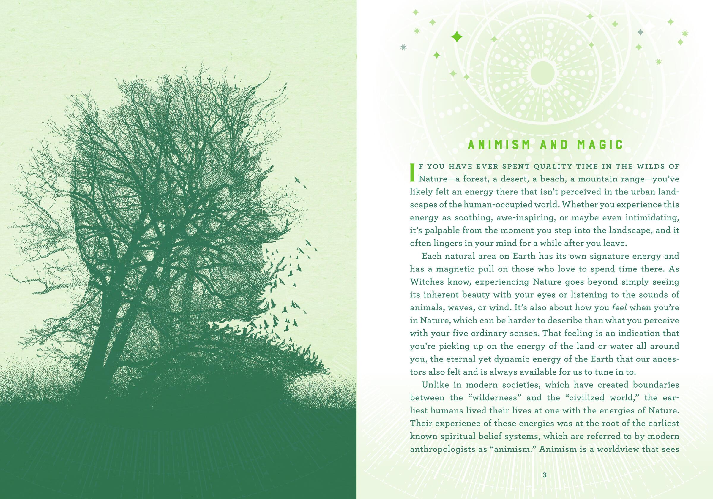 Beispielinhalt (Bild) Wicca Nature Magic