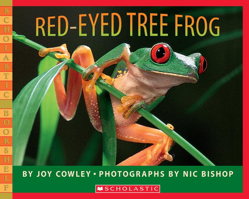 Vorderes Coverbild Red-Eyed Tree Frog