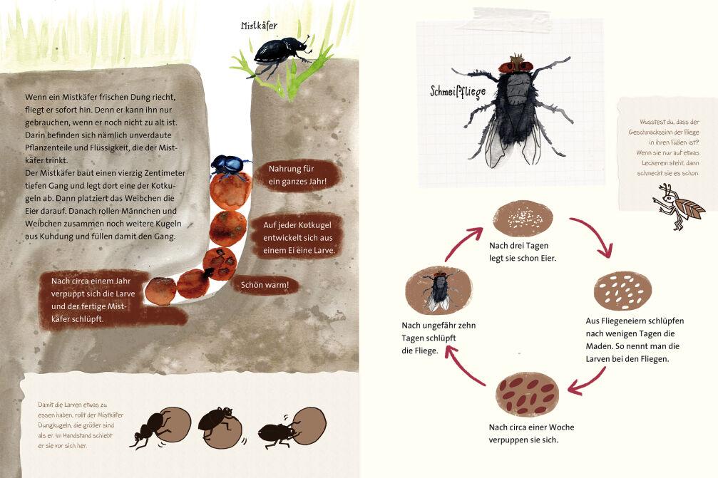 Beispielinhalt (Bild) Die unglaubliche Verwandlung