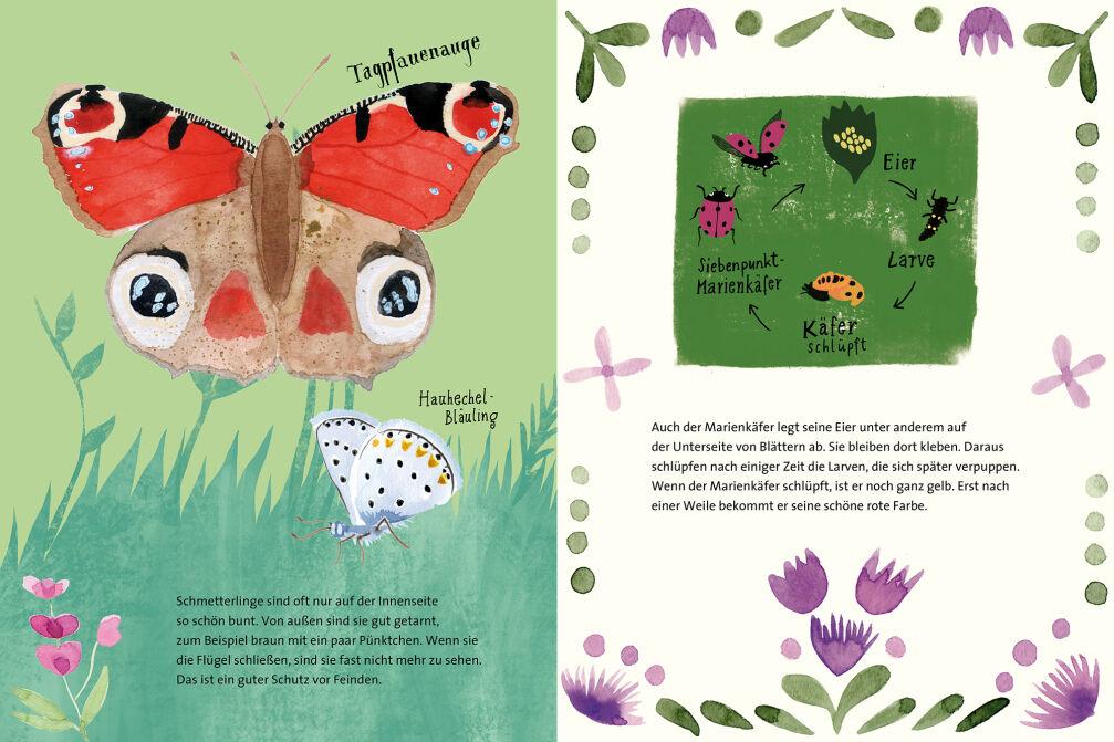 Beispielinhalt (Bild) Die unglaubliche Verwandlung