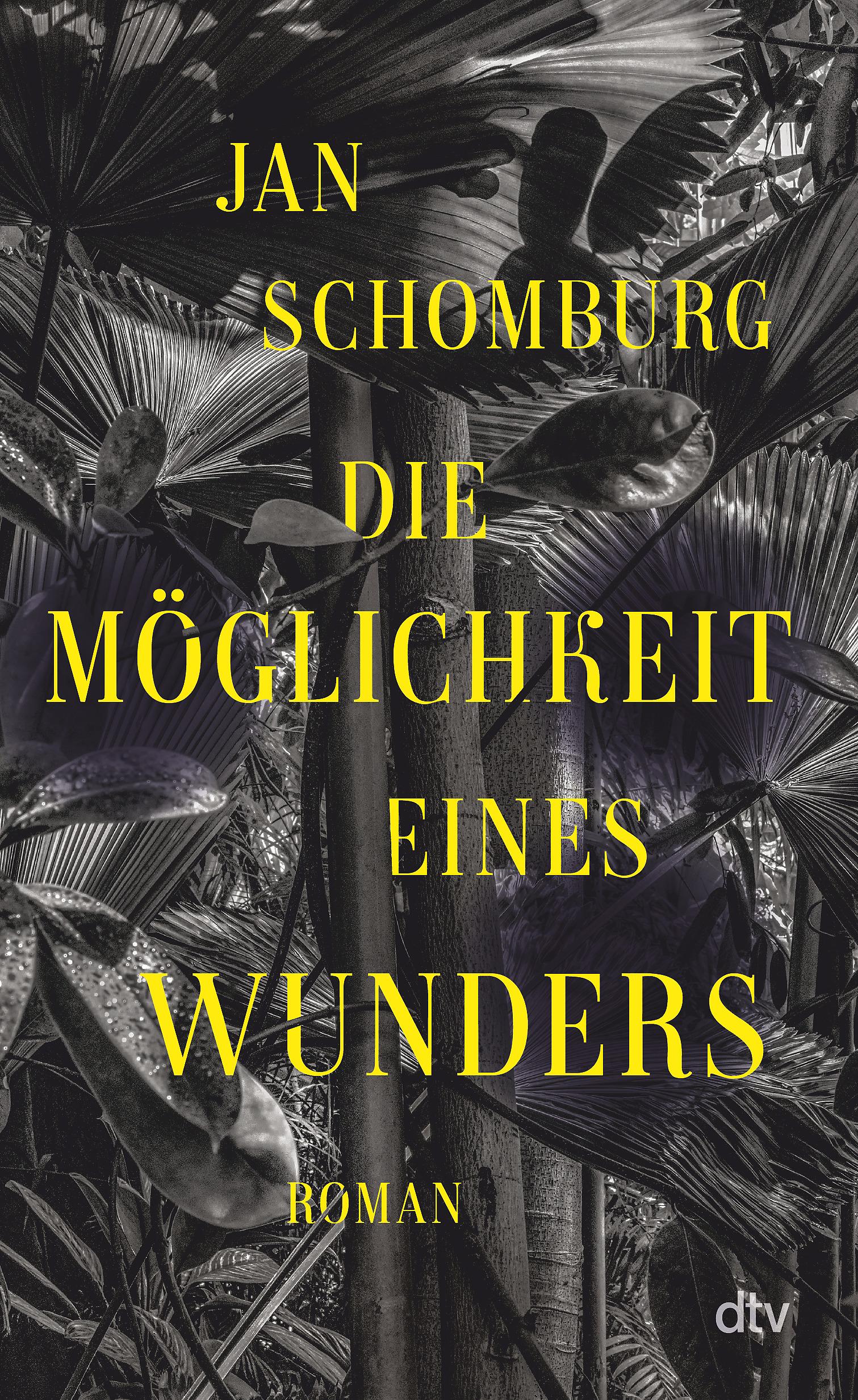 Vorderes Coverbild Die Möglichkeit eines Wunders