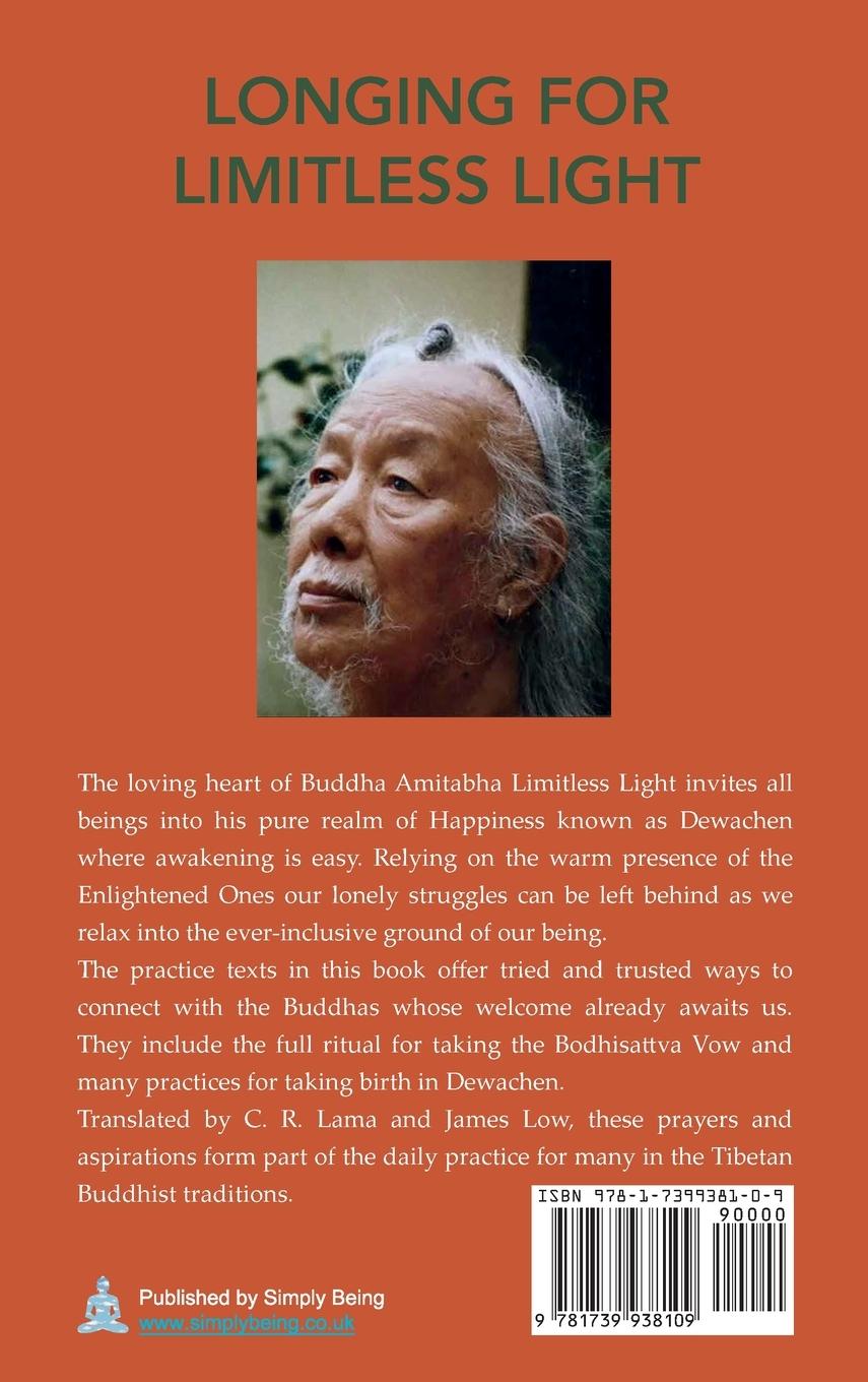 Rückseitencover Longing for Limitless Light