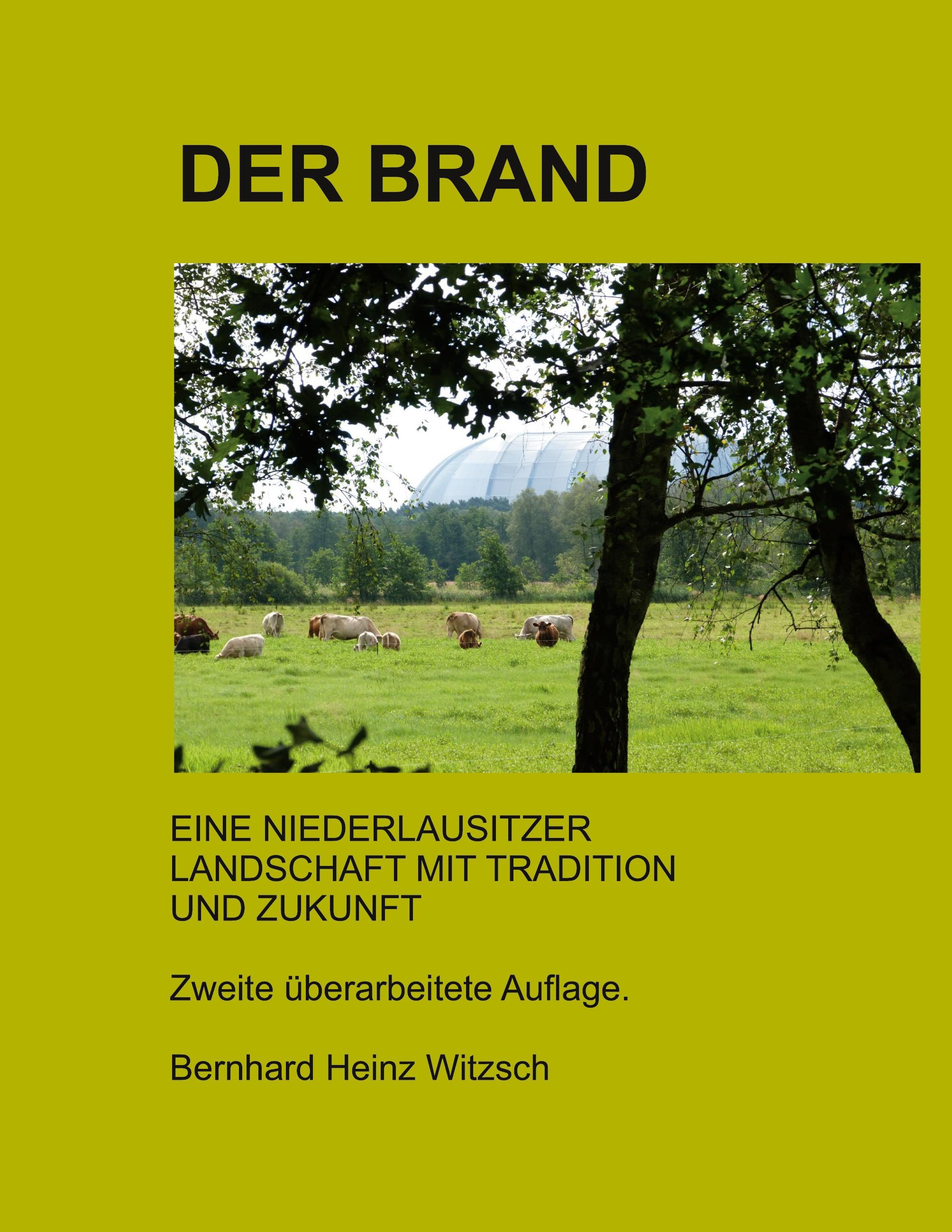 Vorderes Coverbild Der Brand