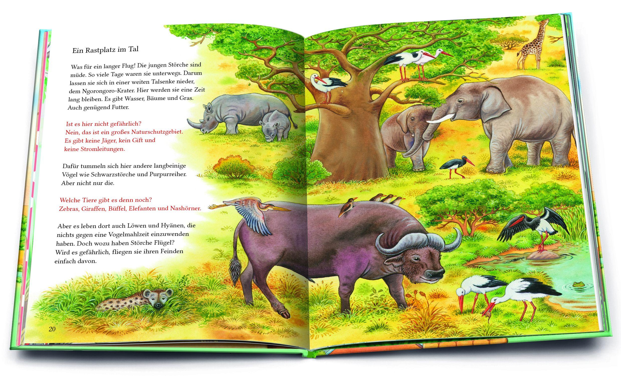 Beispielinhalt (Bild) Ein kleiner Storch wird groß. Eine Geschichte mit vielen Sachinformationen