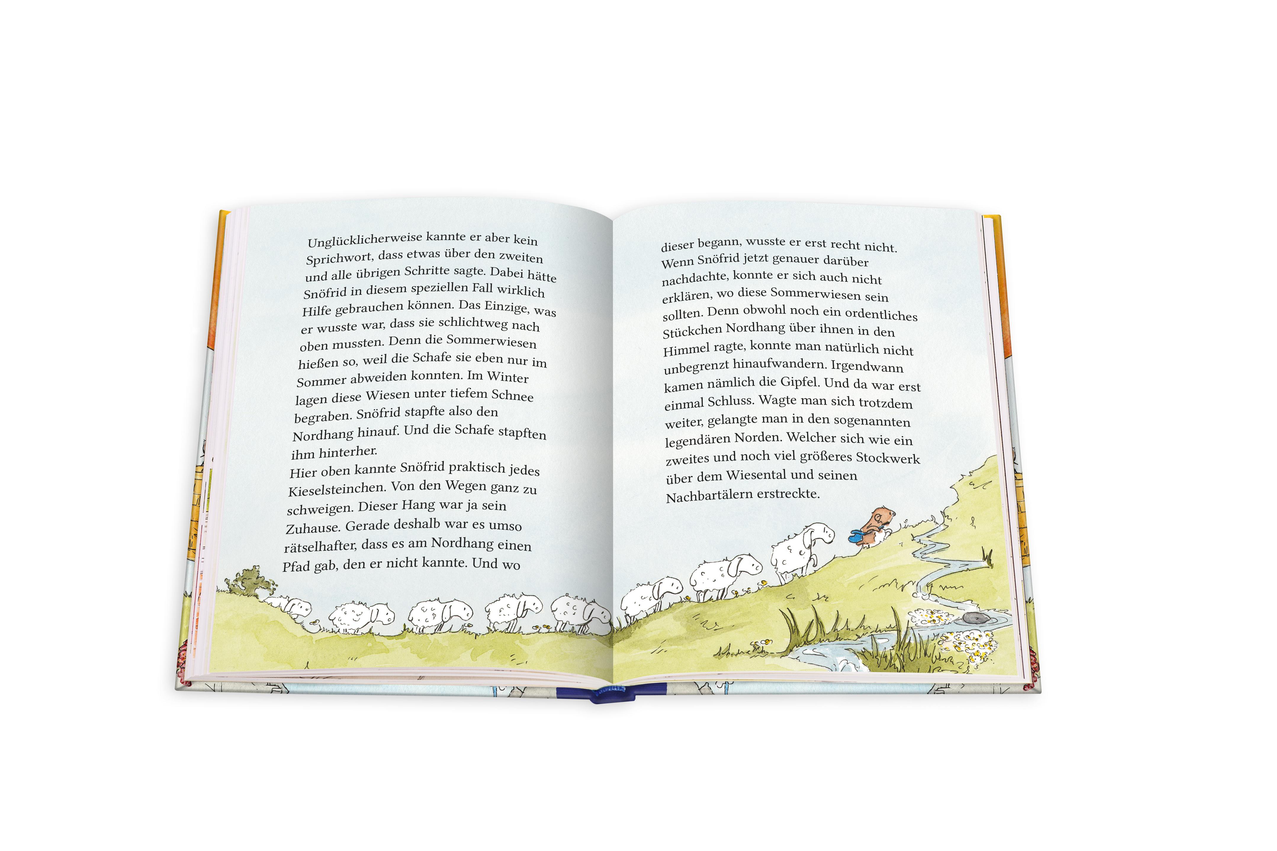 Beispielinhalt (Bild) Snöfrid aus dem Wiesental (5). Der wahrlich wildbewegte Flug im Luftschiff