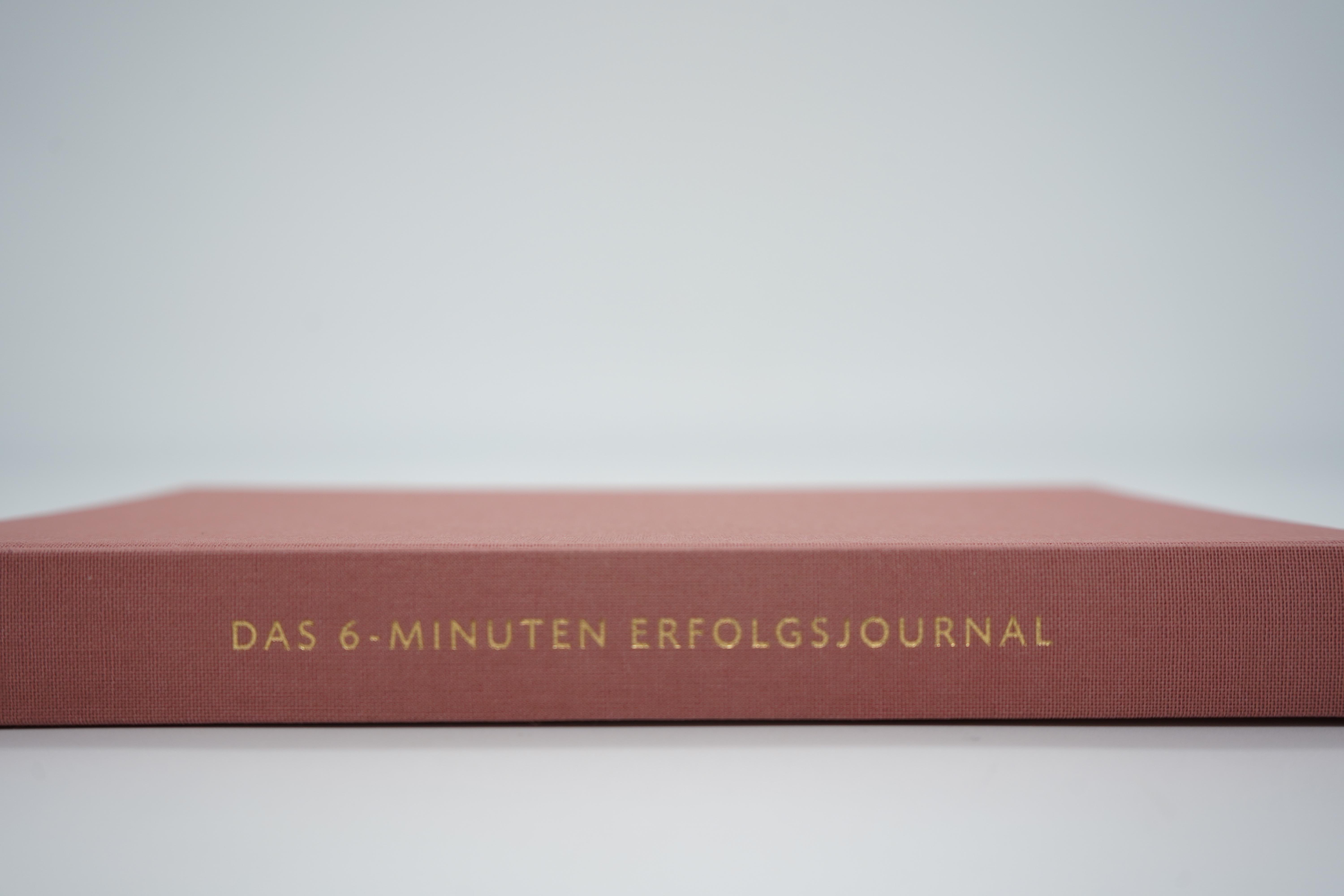 Beispielinhalt (Bild) Das 6-Minuten-Erfolgsjournal (mittelblau)