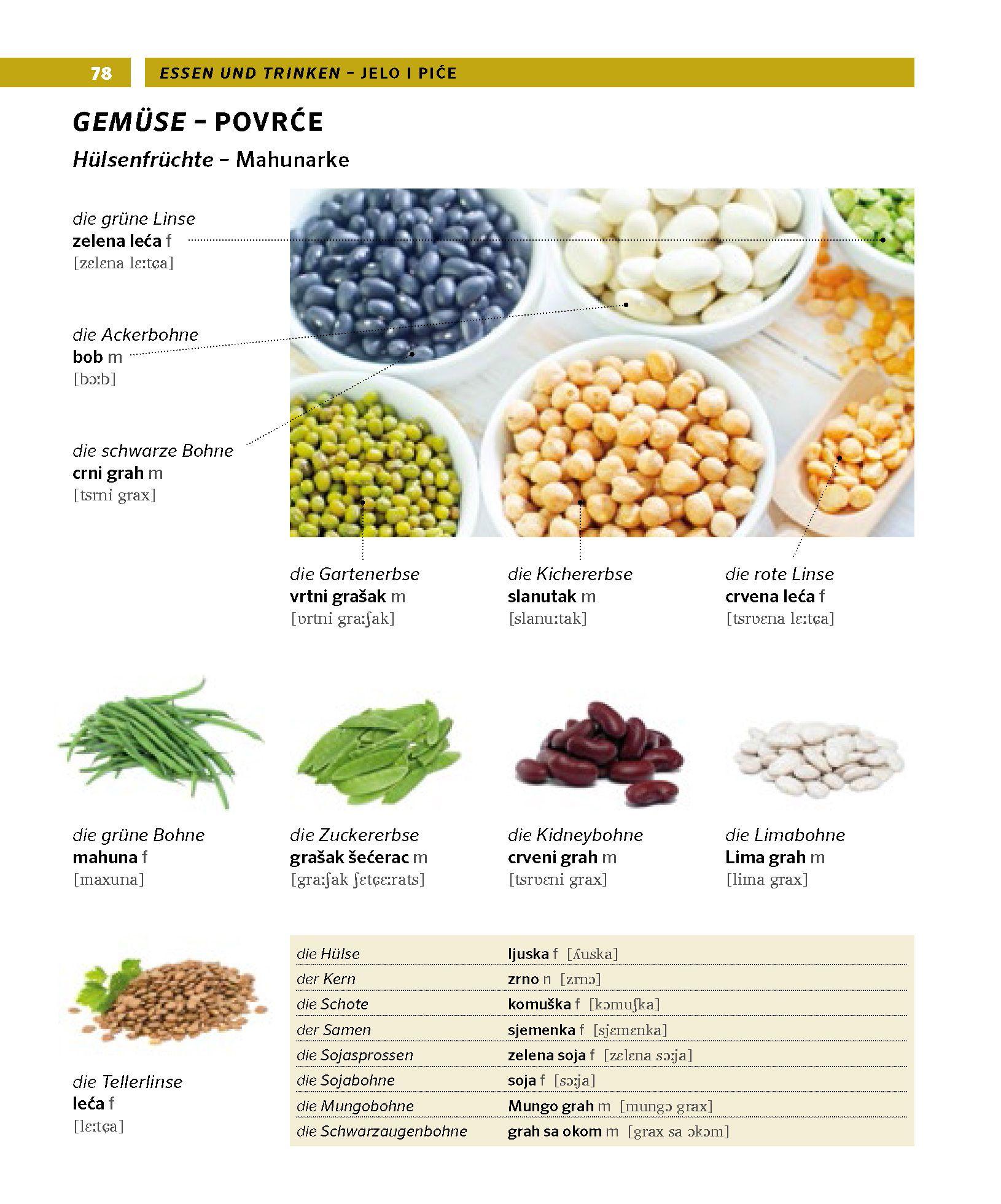 Beispielinhalt (Bild) PONS Bildwörterbuch Kroatisch