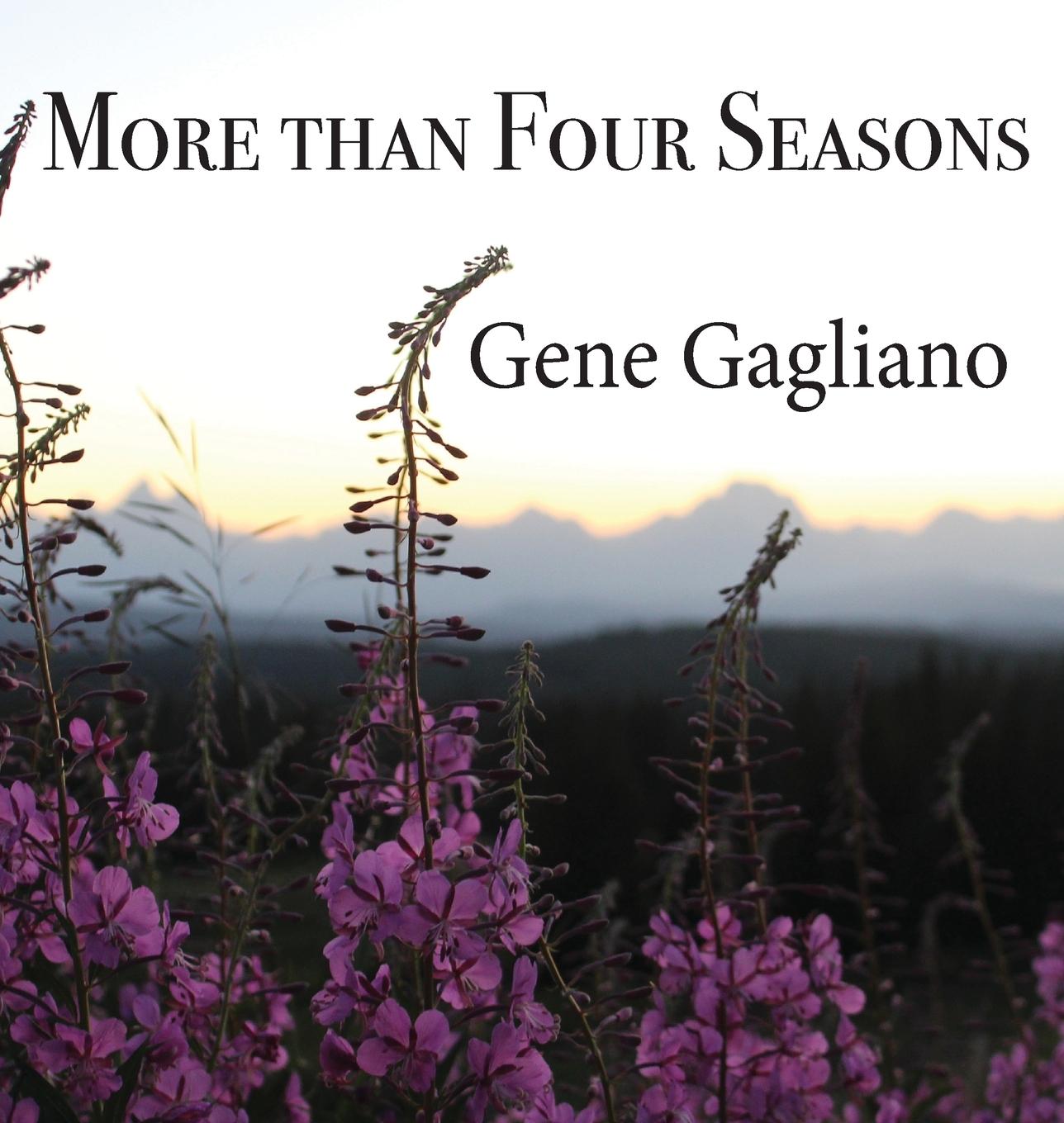 Vorderes Coverbild More than Four Seasons