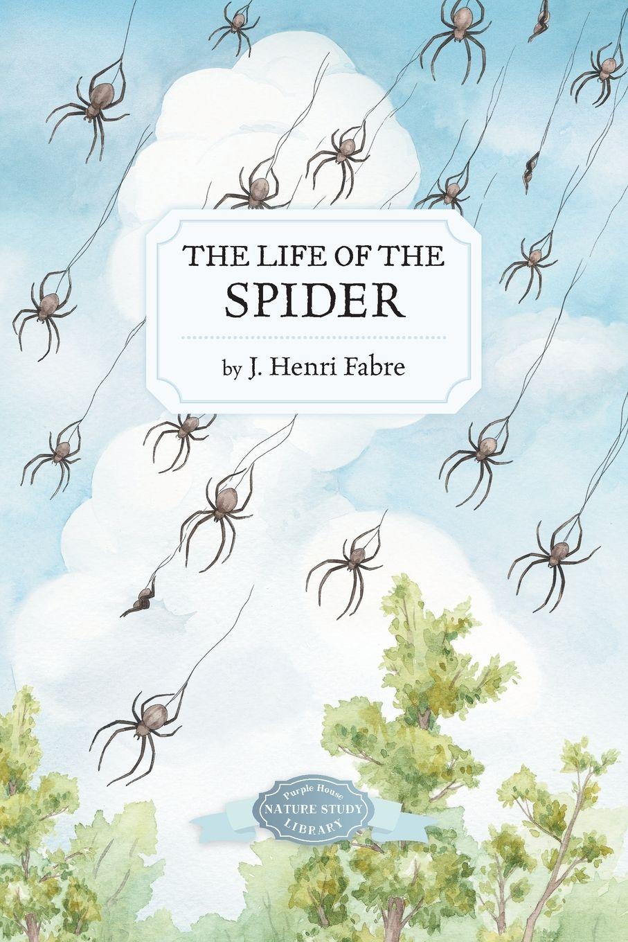 Vorderes Coverbild The Life of the Spider