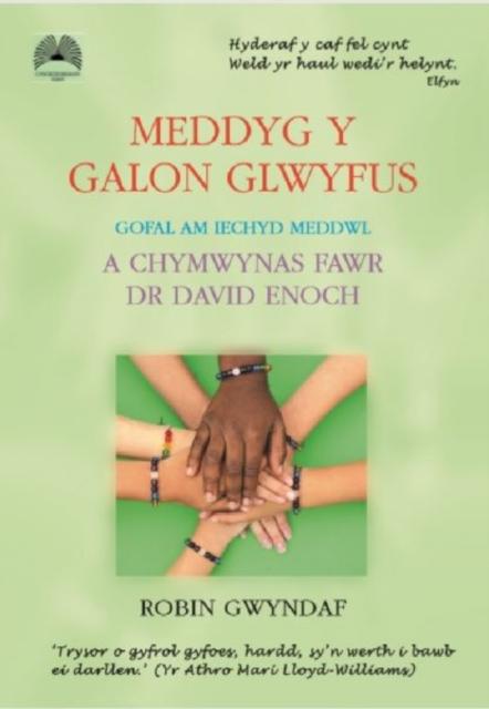 Vorderes Coverbild Meddyg y Galon Glwyfus - Gofal am Iechyd Meddwl a Chymwynas Fawr Dr David Enoch