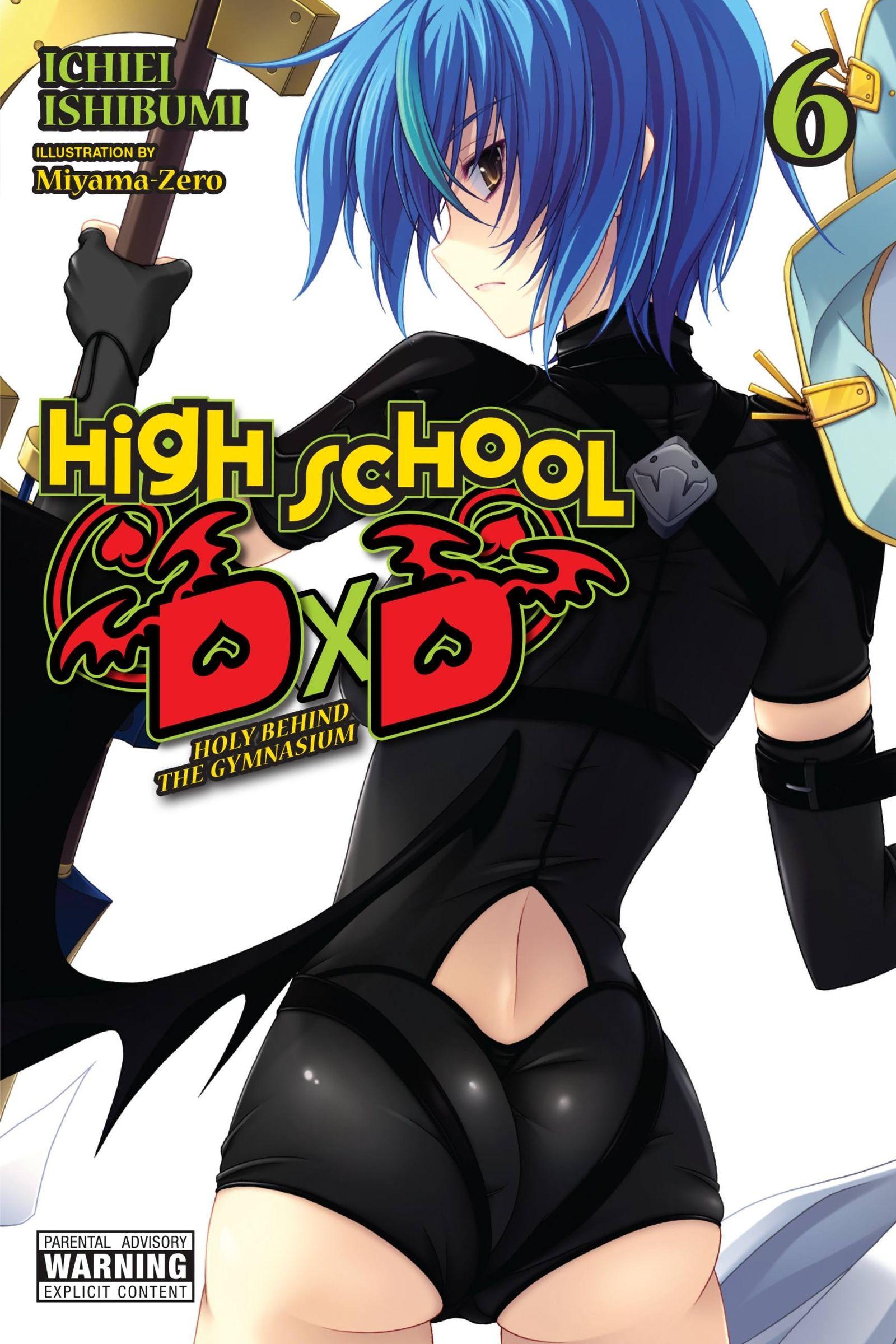 Vorderes Coverbild High School DXD, Vol. 6 (Light Novel)
