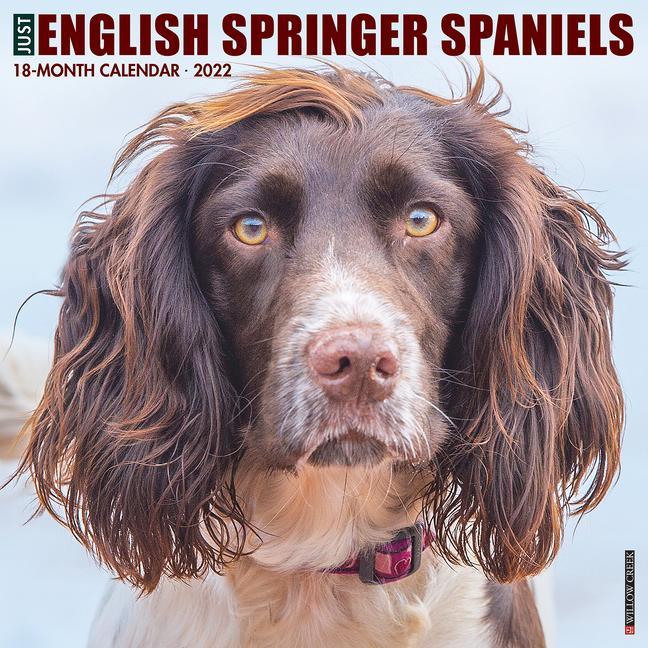 Vorderes Coverbild Just English Springer Spaniels 2022 Wall Calendar (Dog Breed)