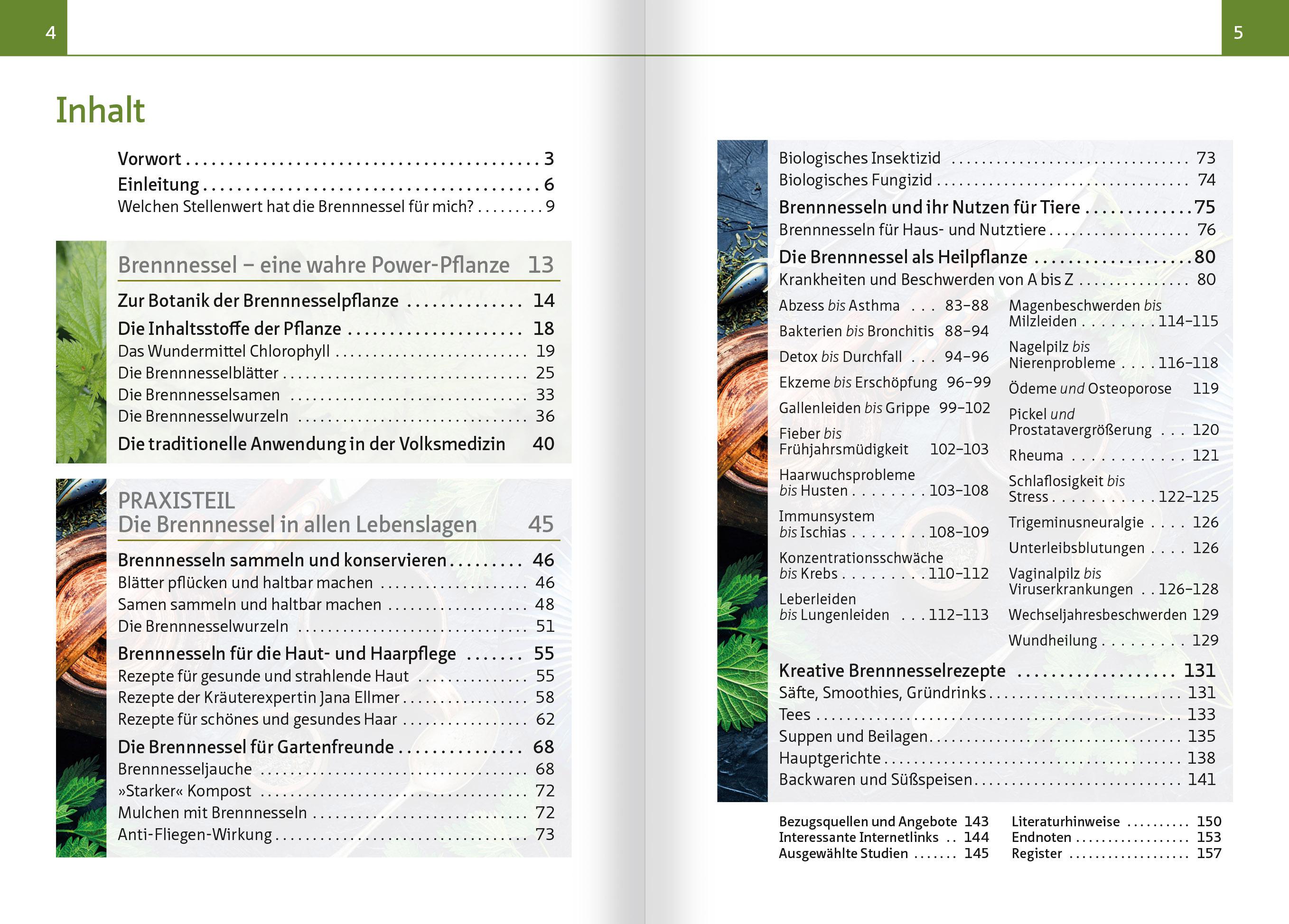 Beispielinhalt (Bild) Brennnessel. Kompakt-Ratgeber