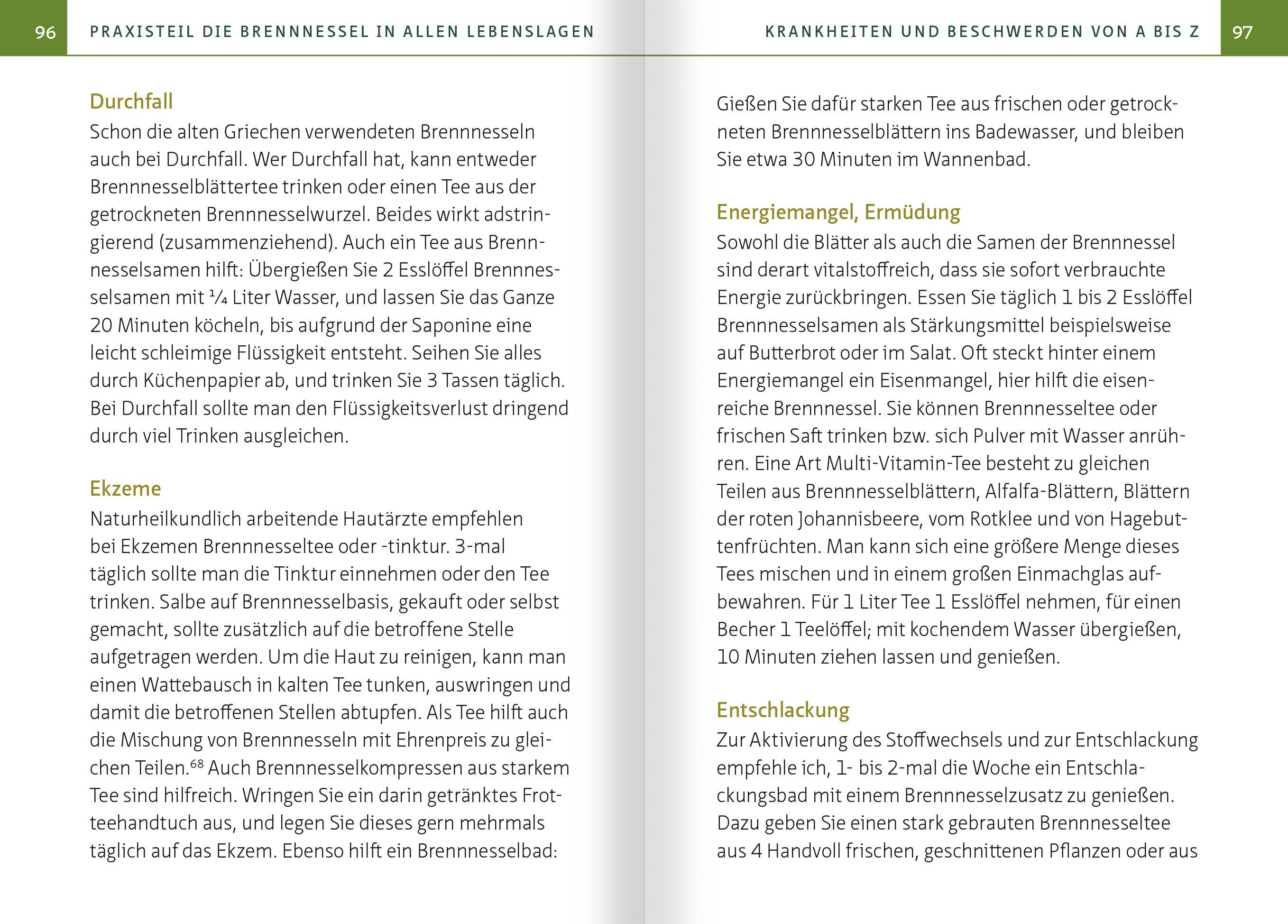 Beispielinhalt (Bild) Brennnessel. Kompakt-Ratgeber