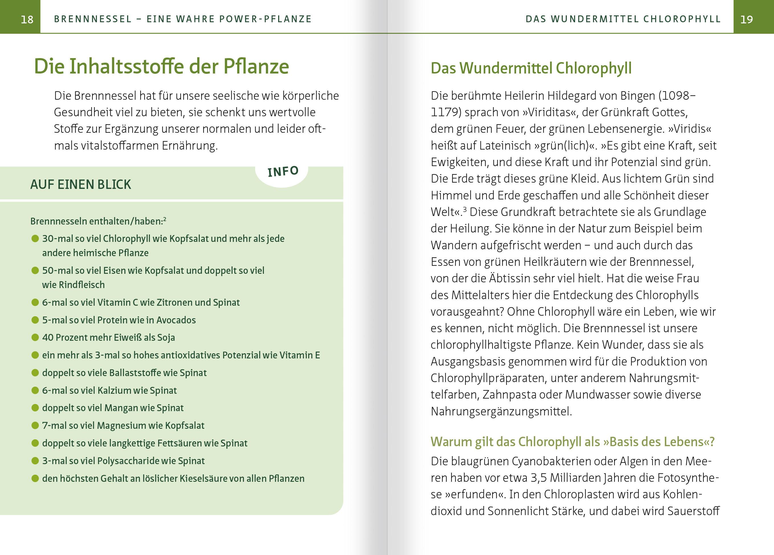 Beispielinhalt (Bild) Brennnessel. Kompakt-Ratgeber