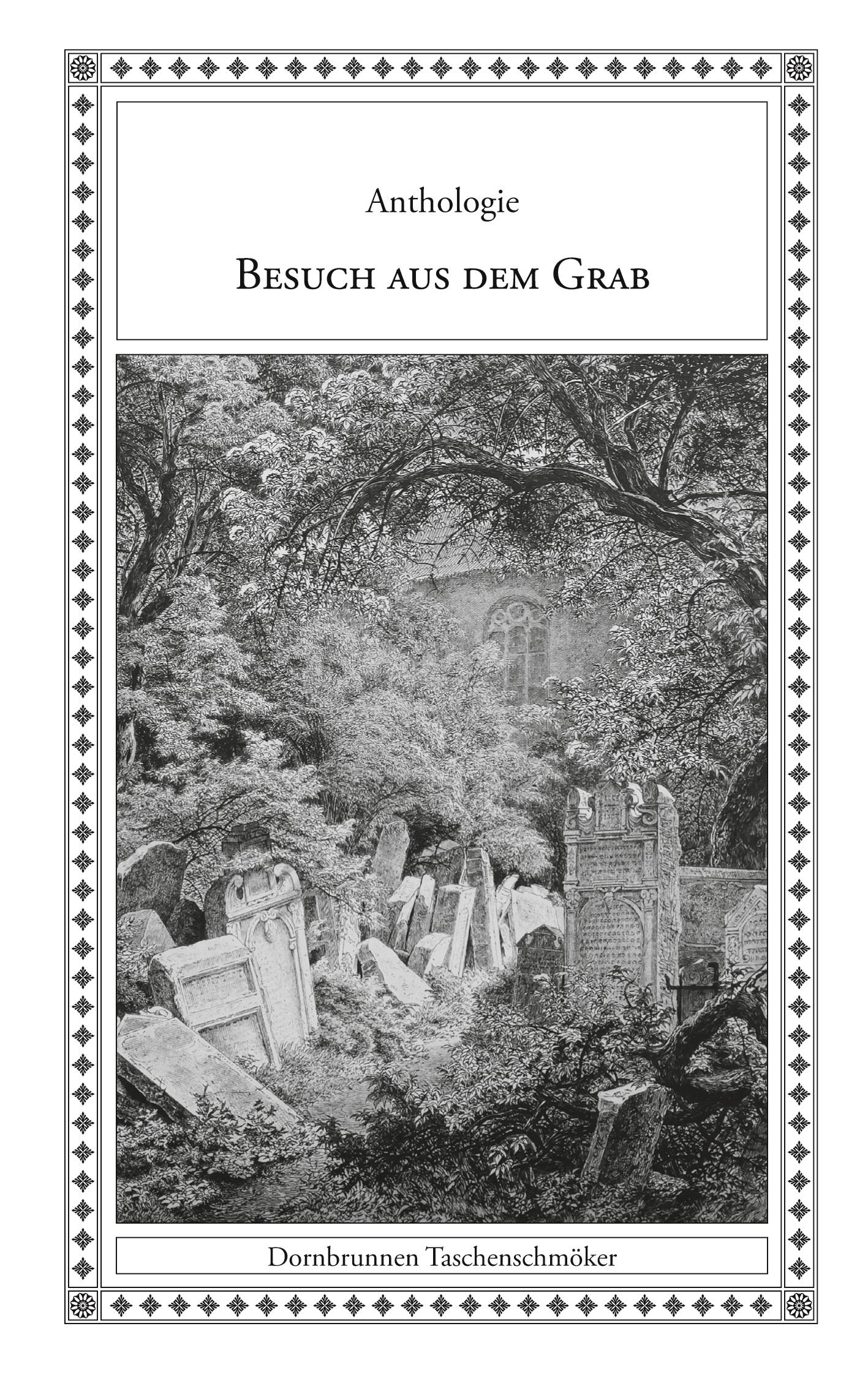Vorderes Coverbild Besuch aus dem Grab