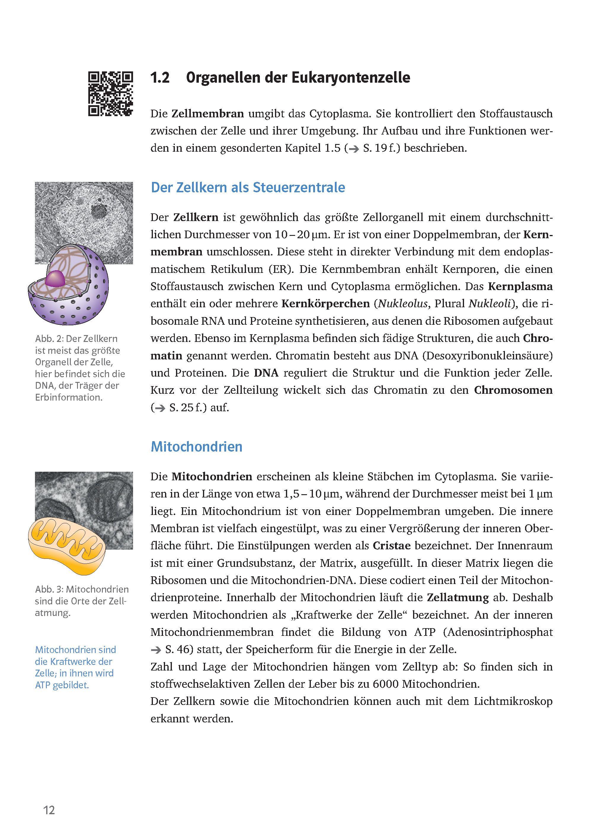 Beispielinhalt (Bild) Sicher im Abi Oberstufen-Wissen Biologie