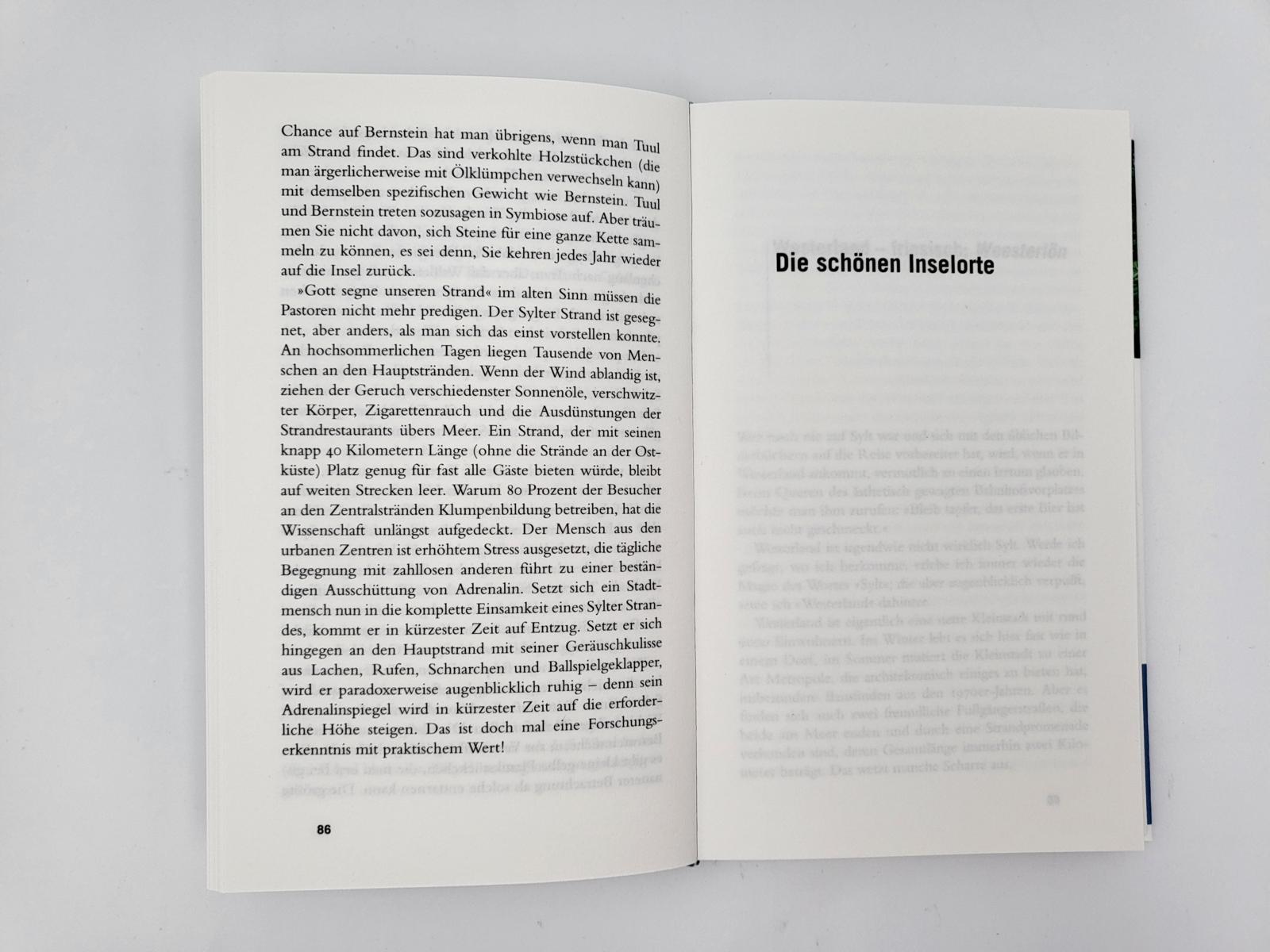 Beispielinhalt (Bild) Gebrauchsanweisung für Sylt