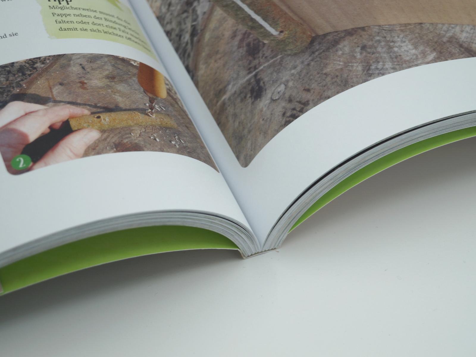 Beispielinhalt (Bild) Wild Days