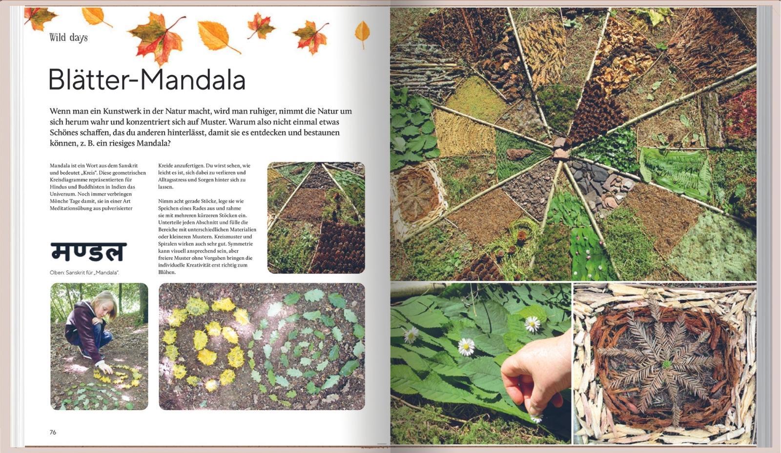 Beispielinhalt (Bild) Wild Days