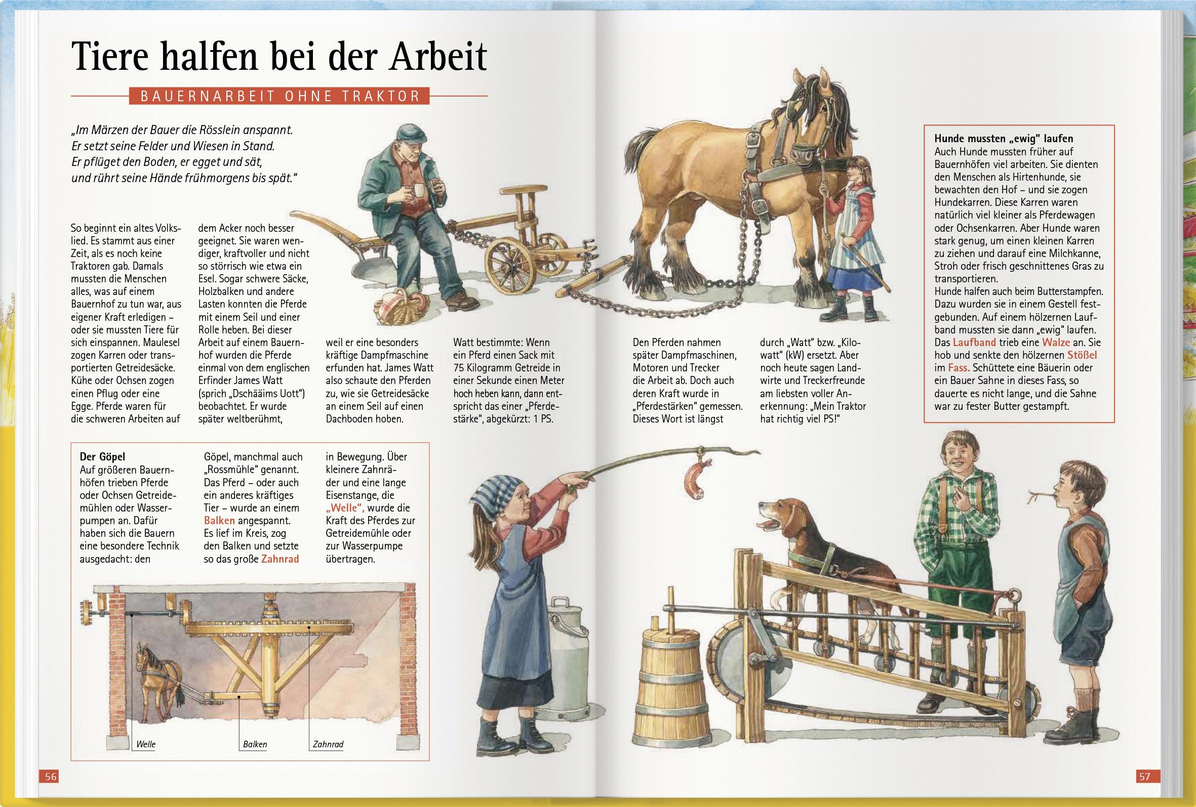 Beispielinhalt (Bild) Was brummt da auf dem Bauernhof?