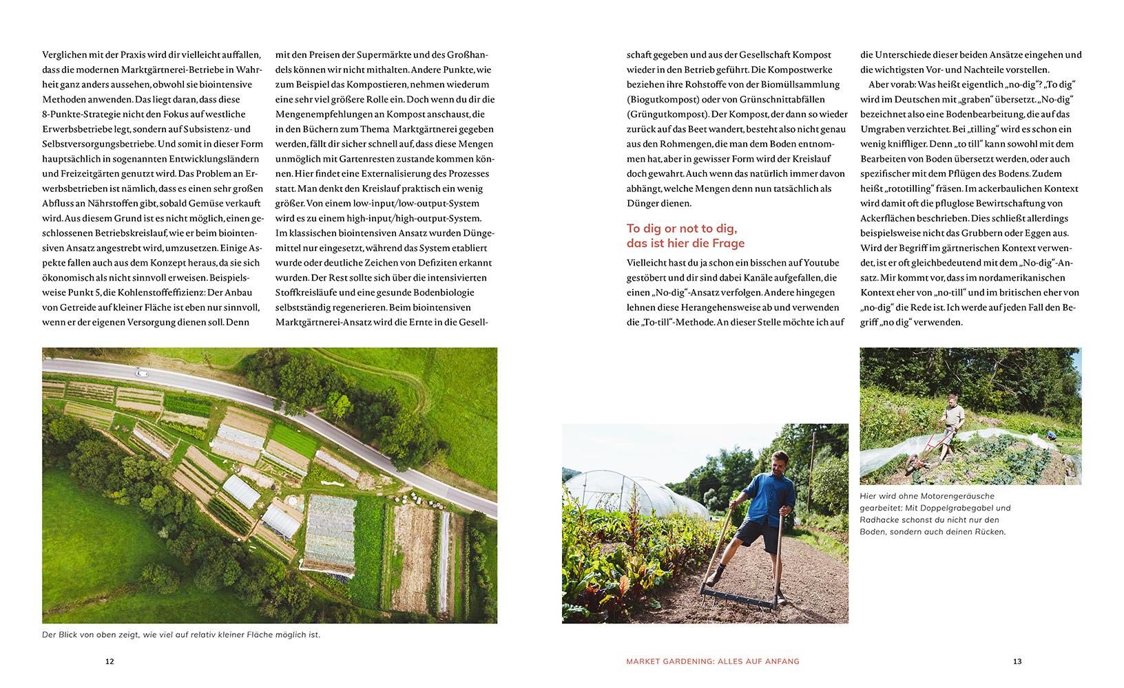 Beispielinhalt (Bild) Market Gardening & Agroforst