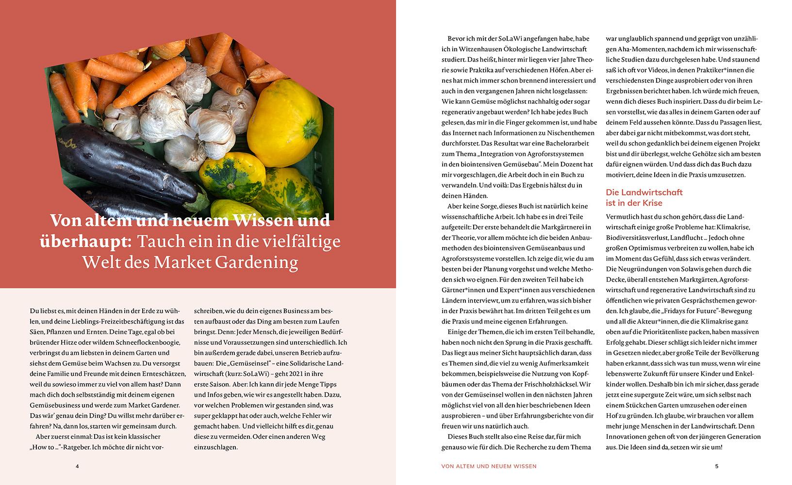 Beispielinhalt (Bild) Market Gardening & Agroforst