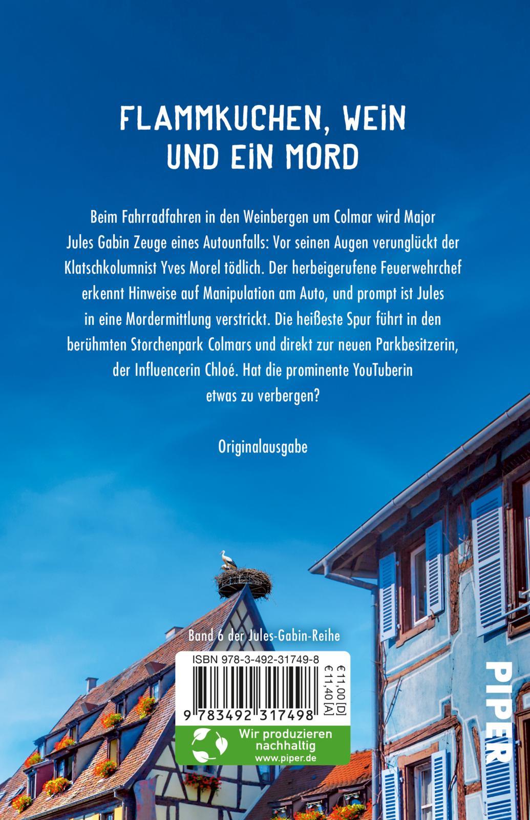 Rückseitencover Elsässer Machenschaften