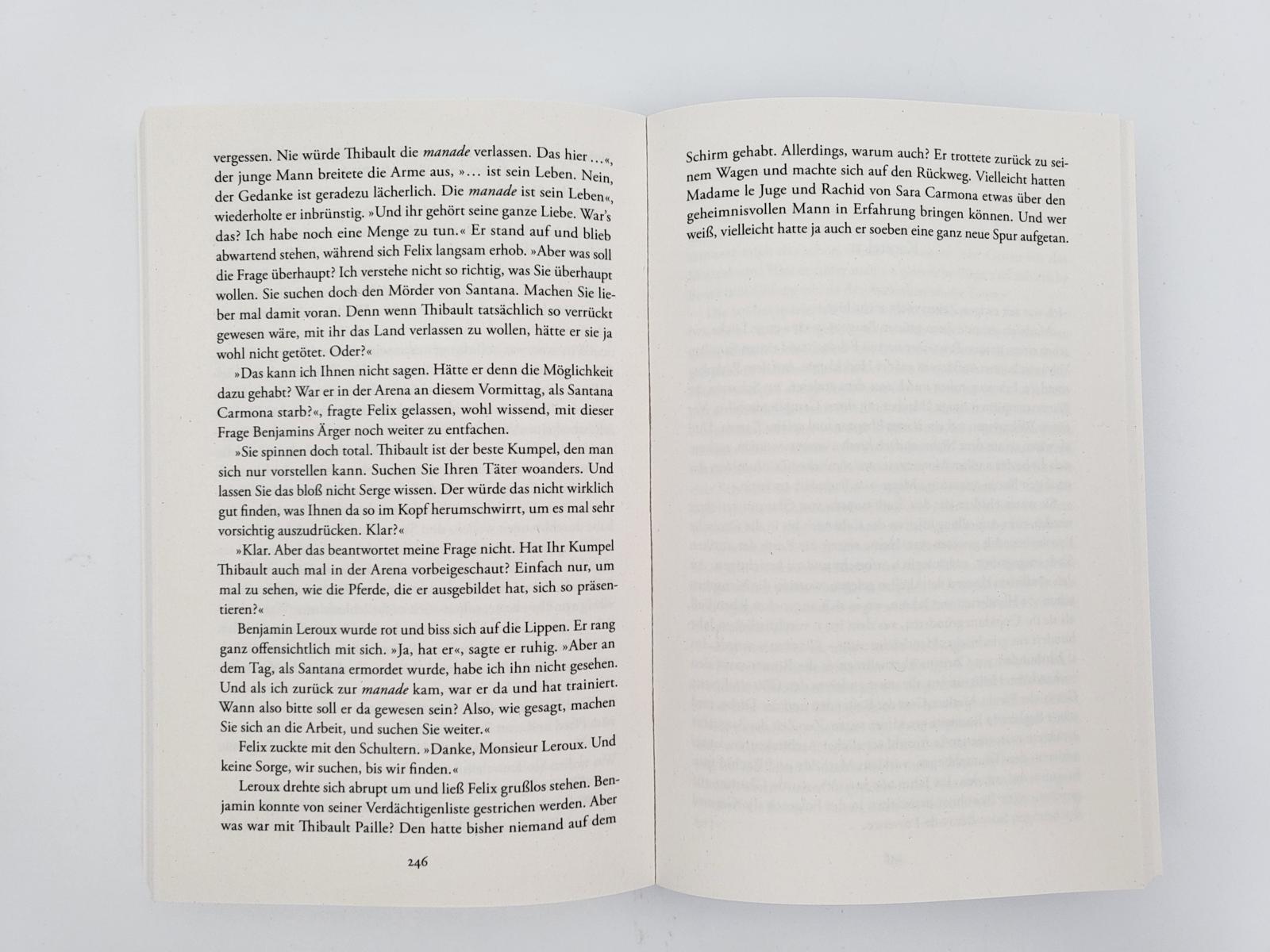 Beispielinhalt (Bild) Die Richterin und der Tanz des Todes