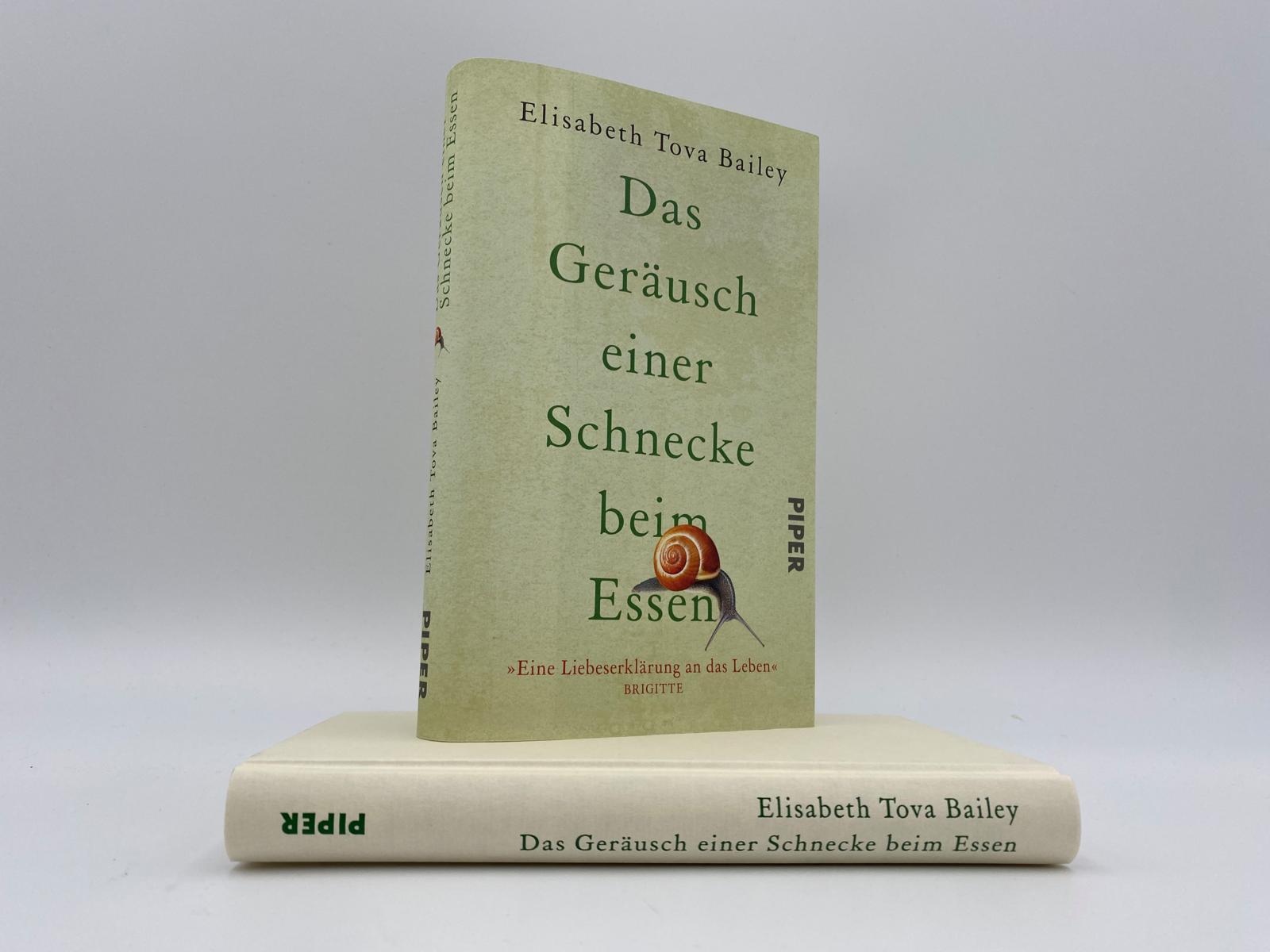 Beispielinhalt (Bild) Das Geräusch einer Schnecke beim Essen