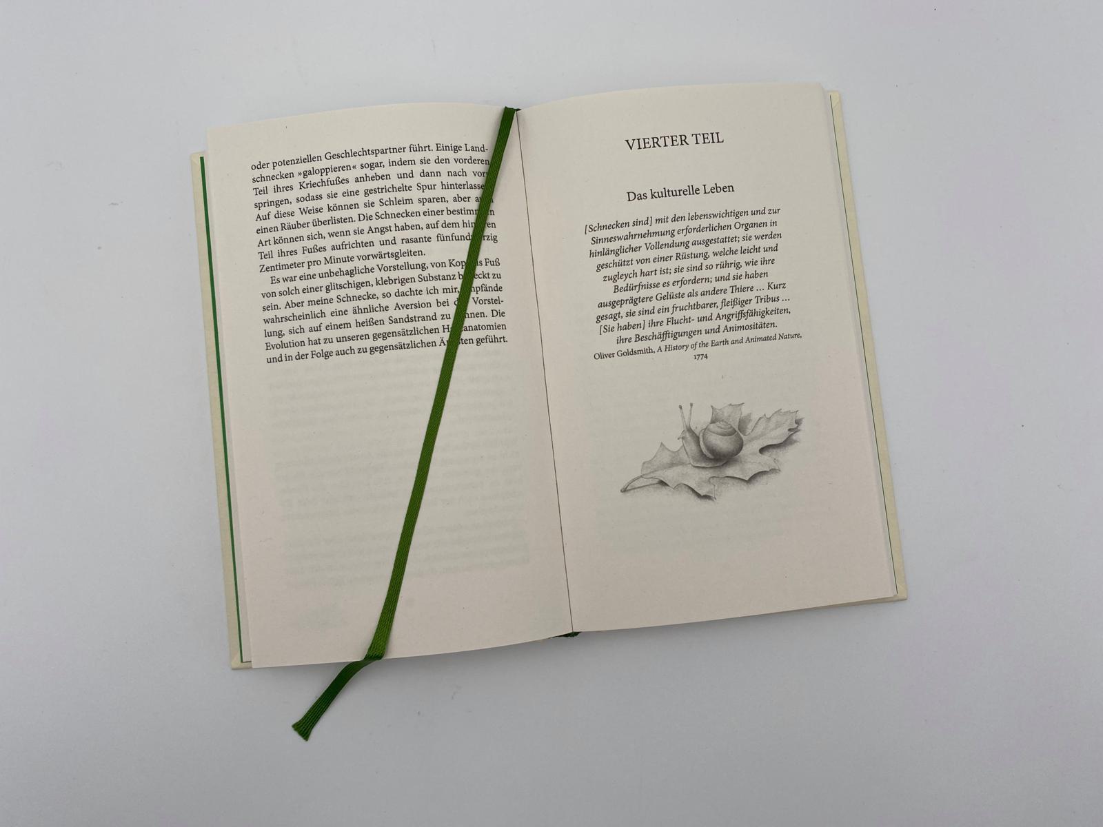 Beispielinhalt (Bild) Das Geräusch einer Schnecke beim Essen