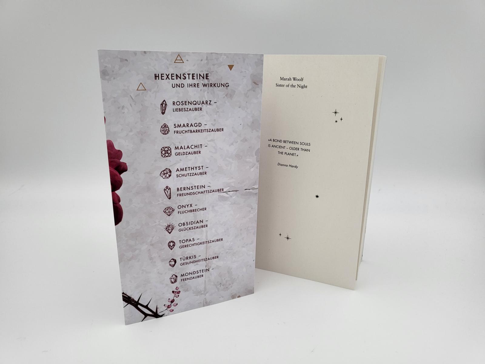 Beispielinhalt (Bild) Sister of the Night