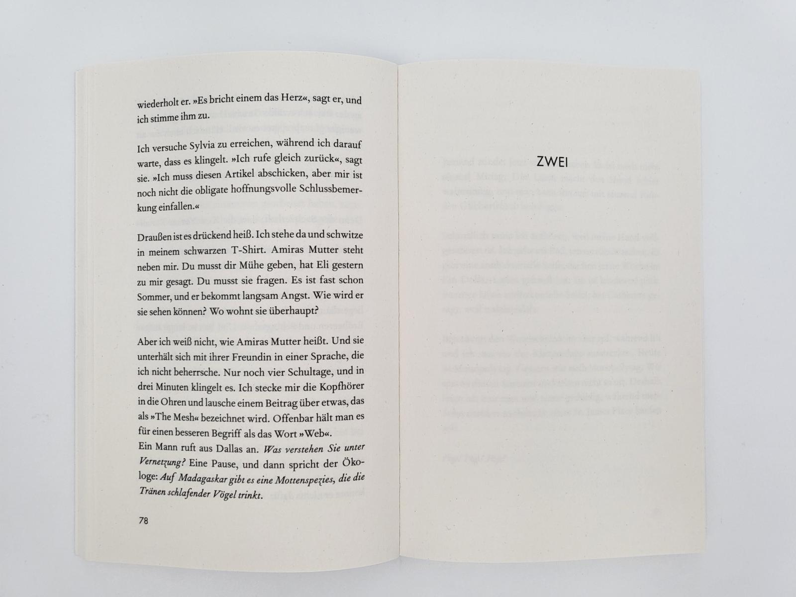 Beispielinhalt (Bild) Wetter