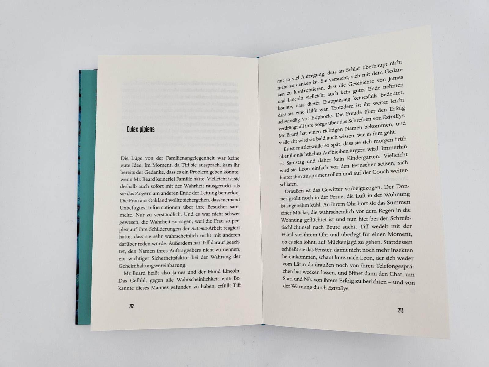 Beispielinhalt (Bild) Automaton