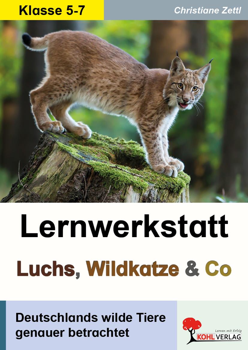 Vorderes Coverbild Lernwerkstatt Luchs, Wildkatze & Co