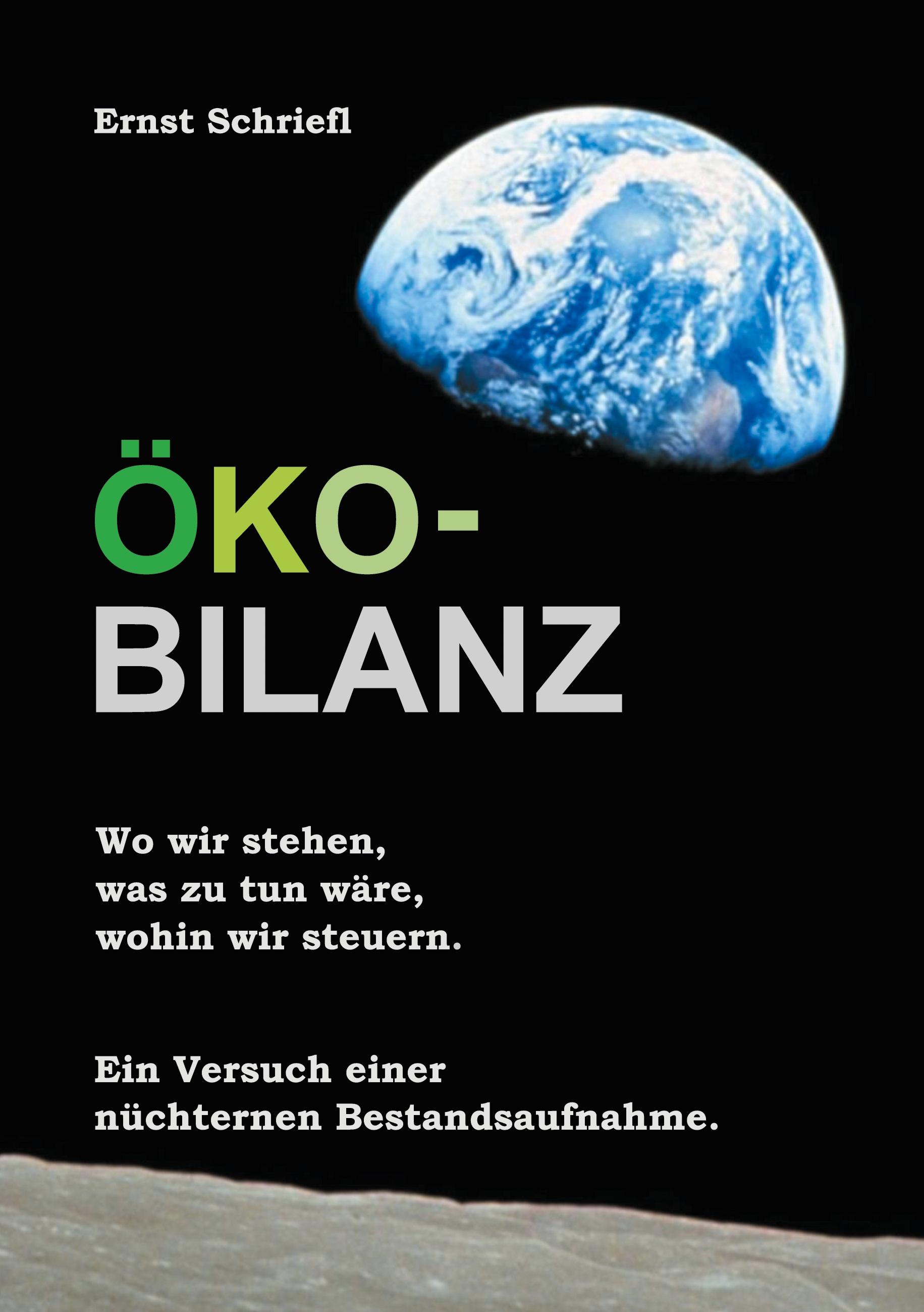 Vorderes Coverbild Öko-Bilanz