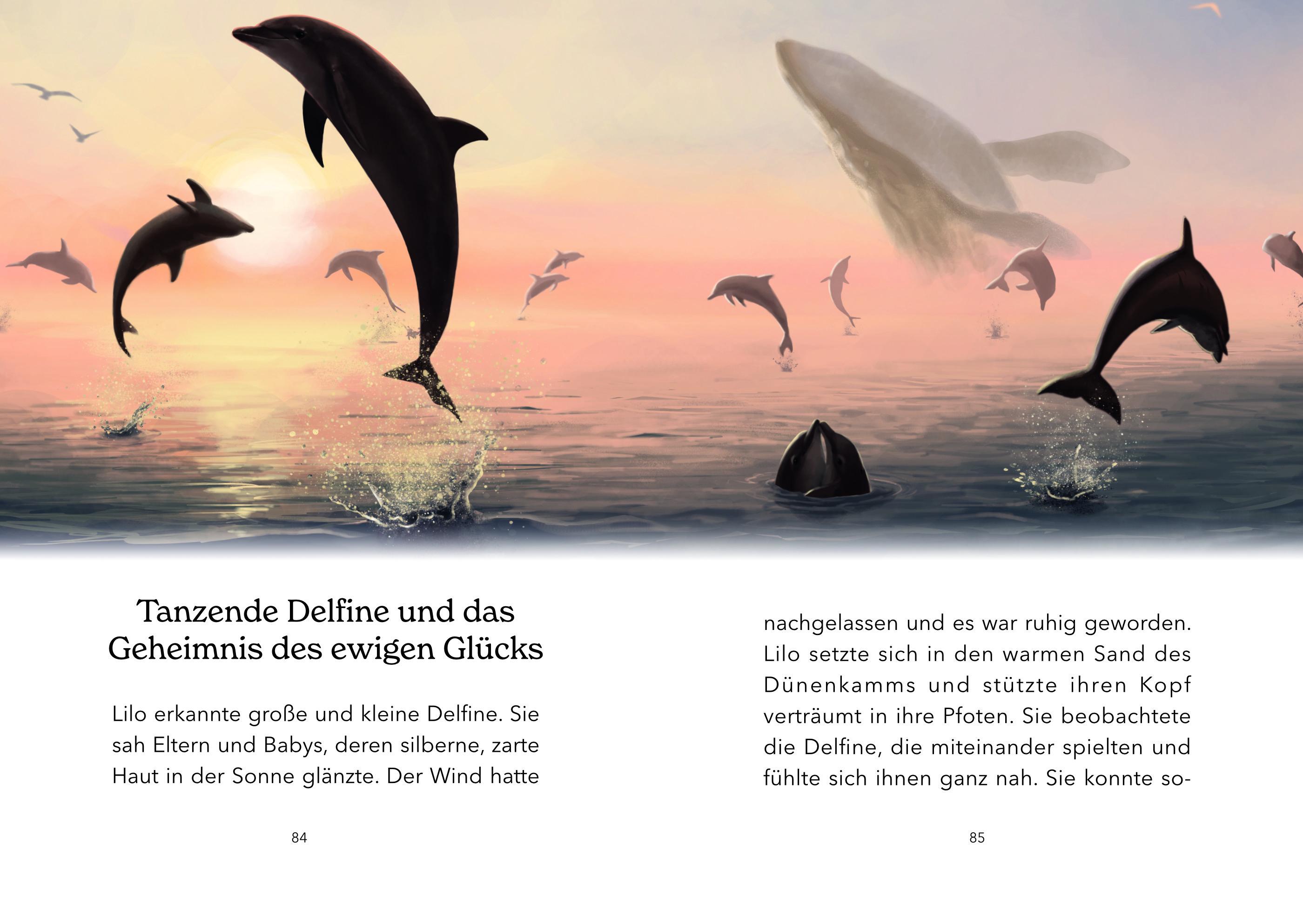 Beispielinhalt (Bild) Lilo und das Geheimnis des ewigen Glücks