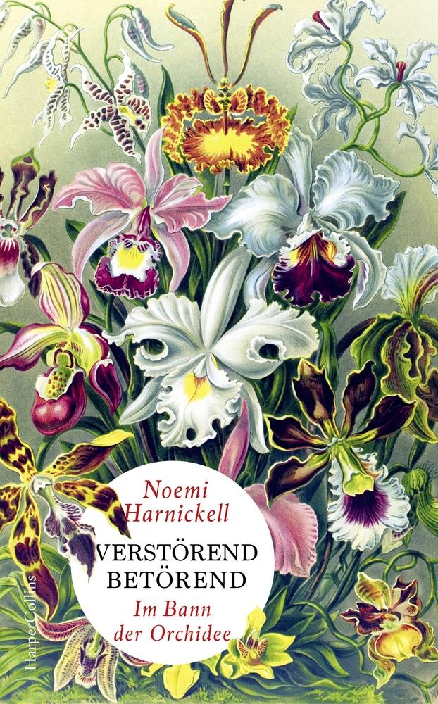 Vorderes Coverbild Verstörend betörend - Im Bann der Orchidee