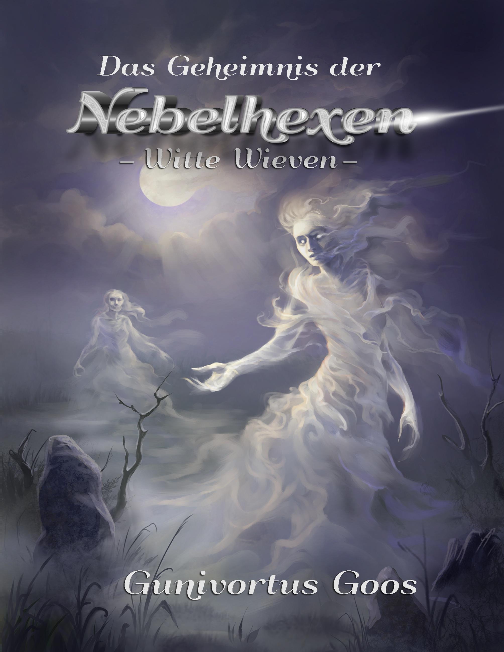 Vorderes Coverbild Das Geheimnis der Nebelhexen