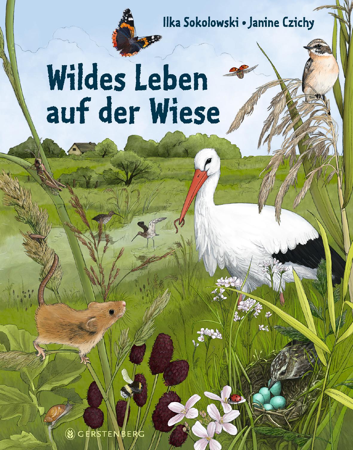 Vorderes Coverbild Wildes Leben auf der Wiese