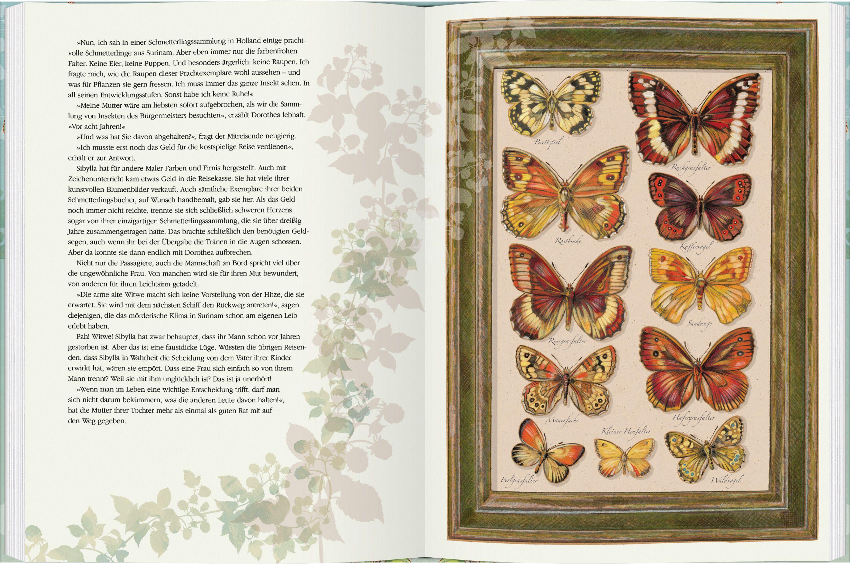 Beispielinhalt (Bild) Maria Sibylla Merian