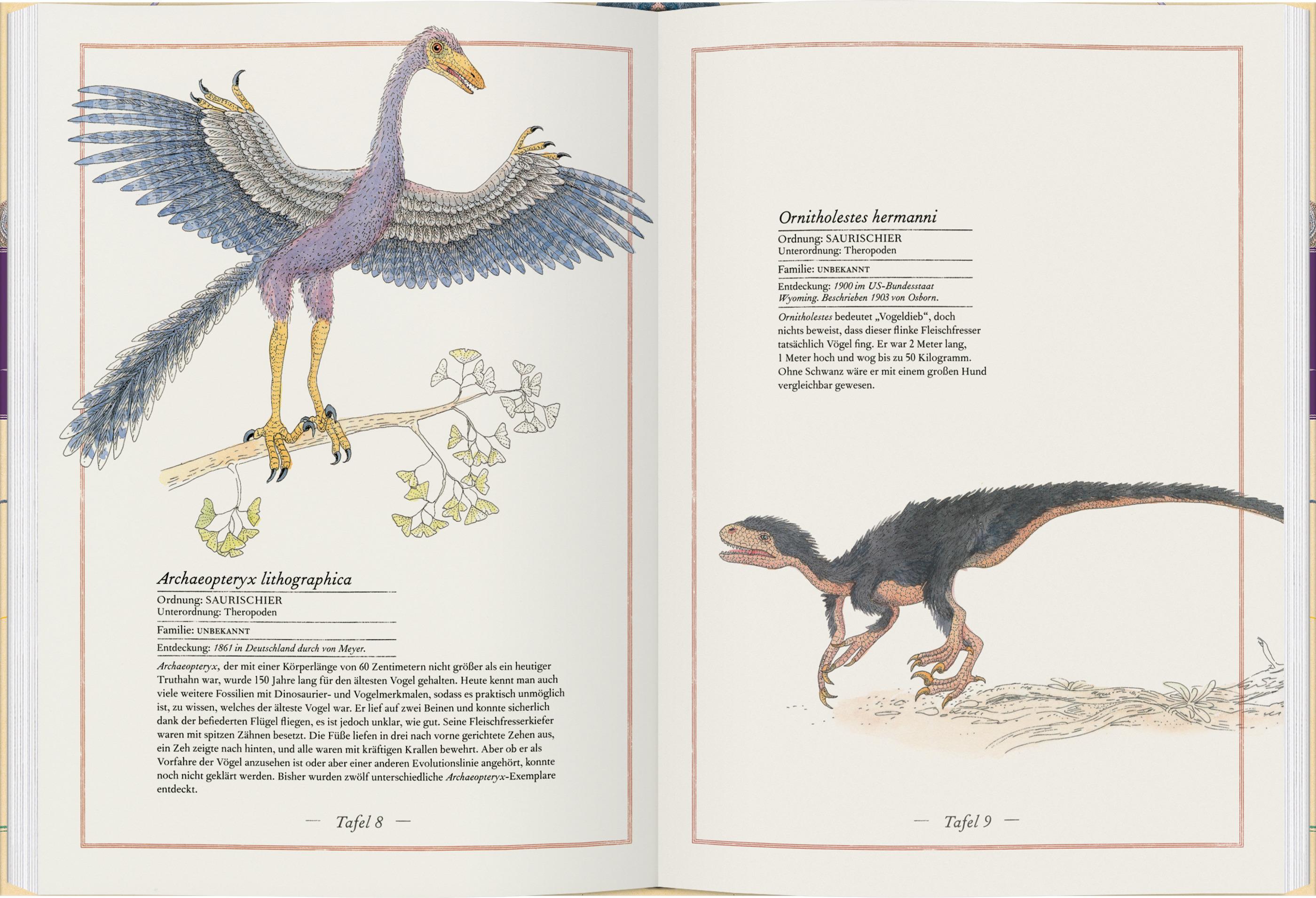 Beispielinhalt (Bild) Triceratops, T-Rex, Supersaurus