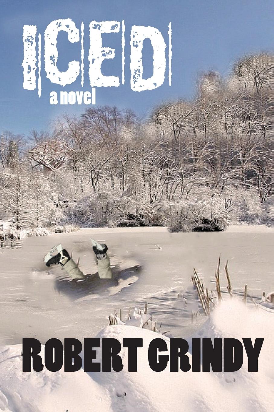 Vorderes Coverbild Iced